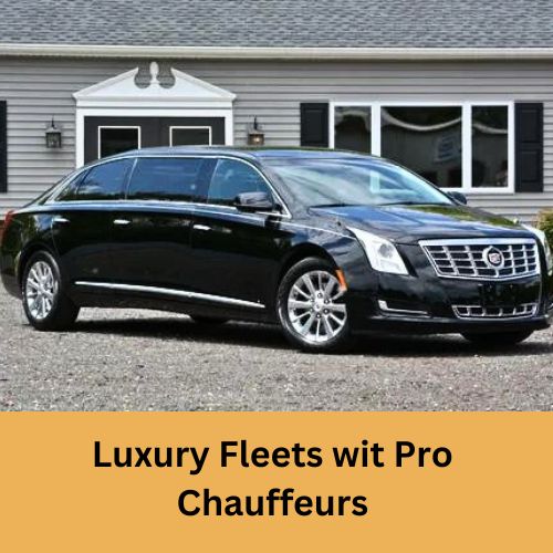 Luxury Fleets wit Pro Chauffeurs